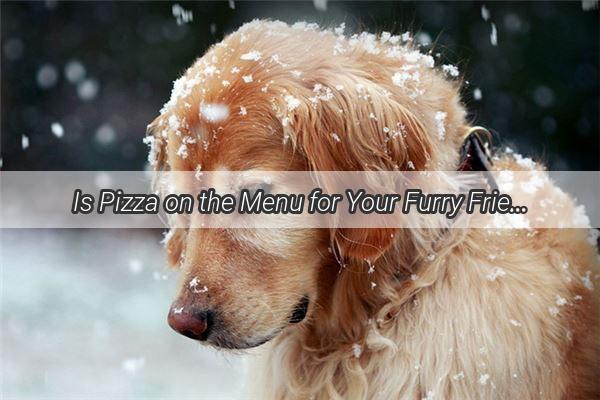 Is Pizza on the Menu for Your Furry Friend A Pawsitively Yummy Guide